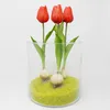 6er Set künstliche Tulpen mit Zwiebel rot grün H. 25cm DPI Produktbild-Vorschau 5