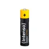 A single AAA battery with branding. Voir les images du produit