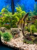 Aquarium Pflanzen Künstlich, 22 cm Künstliche Bonsai, Produktbild-Vorschau 11