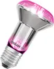 La lampada per piante OSRAM LED Star con filamento e base Anteprima dell’immagine prodotto 1