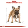 Royal Canin French Bulldog Adult, Adult, Schweinefleisch, 9 Produktbild-Vorschau 6