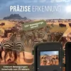 Strex Wildkamera mit Nachtsicht – 16MP 1080P Full HD – Produktbild-Vorschau 8