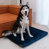 A husky dog sits on a navy blue dog bed next to an orange couch. Produktbild-Vorschau