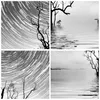 Poster - Poster ohne Rahmen - Schwarzweiß Baum See - 30x40 Produktbild-Vorschau 8