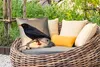 MuchoWow® Outdoor Kissen - Amsel - Vogel - Zweige - Beere - Produktbild-Vorschau 3