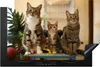 KitchenYeah© Herdabdeckplatte Drei Katzen auf kleinem Tisch Produktbild-Vorschau 1