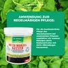 Dr. Stähler Aktiv Wurzel Power Pflanzenstärkungsmittel - Produktbild-Vorschau 3