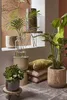 Mica Decorations Pia Table d'appoint en tronc d'arbre - H14 Voir les images du produit 5