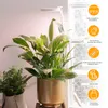 A plant light illuminating a potted plant next to a window with glass blocks. Produktbild-Vorschau