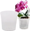 A clear plastic orchid pot is shown next to a potted orchid plant with pink flowers. Náhled obrázku produktu