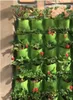Hängende Gartentöpfe für Blumen, Gewürze, Kräuter, 12 Produktbild-Vorschau 4
