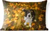 MuchoWow® Outdoor Kissen - Cavalier King Charles Spaniel Produktbild-Vorschau 1