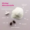 Orthomol Natal - Mikronährstoffe für Schwangerschaft und Produktbild-Vorschau 4