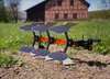 wentelploeg RollyScraper junior grigio Anteprima dell’immagine prodotto 2