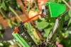 A close-up of a plant tying tool being used to attach a red band to a tomato plant stem. Náhľad obrázku produktu