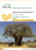 SAFLAX - Afrikanischer Affenbrotbaum - 6 Samen - Adansonia Produktbild-Vorschau 1