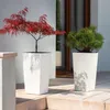 Two potted plants, a Japanese maple and a pine tree, are placed on a patio next to a building entrance. Náhled obrázku produktu