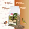 PANTO Hanfsamen 1kg - Natürliche Energiequelle für Produktbild-Vorschau 2