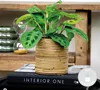 Bloomique - Maranta Kerchoveana - Gebetspflanze - Produktbild-Vorschau 2