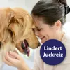 Canosept Ohrreiniger 125 ml Produktbild-Vorschau 5