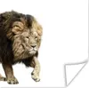 MuchoWow® Poster Löwe - Weiß - Tiere 100x100 cm - Produktbild-Vorschau 1