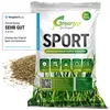 Greenyp® Sport I strapazierfähiger Sport-& Spielrasen I Produktbild-Vorschau 1