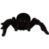 Obrovský pavúk na diaľkové ovládanie Tarantula s diaľkovým Náhľad obrázku produktu 3