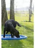 CoolPets ovlažujúca striekajúca fontána Náhľad obrázku produktu 6