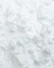 2 kg L-Arginin HCL | Aminosäure | Buxtrade | Produktbild-Vorschau 3