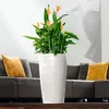 A white planter with a green plant and orange flowers sits on a table in front of a gray sofa with yellow pillows. Náhľad obrázku produktu