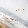 ZO! Home Renforcé Bettwäsche - Düne 135 x 200 cm Möwen, Produktbild-Vorschau 4