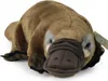 Uccello di peluche 30 cm ECO-FRIENDLY Anteprima dell’immagine prodotto 1