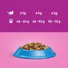 ‎Whiskas 5900951014390, Dospělý jedinec, Jakékoli plemeno, Náhled obrázku produktu 4