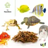 UGF Soldatenfliegenlarven 1kg, Vogelfutter Wildvögel Produktbild-Vorschau 3