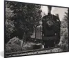 MuchoWow® MuchoWow® Gerahmtes Poster Schwarz-Weiß-Foto Produktbild-Vorschau 1