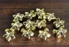 GOLDBACH Christbaumschmuck / Weihnachtdeko Sterne im Produktbild-Vorschau 1