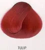 6 X La Riche Directions Semi-Permanent Hair Color 88ml Tubs Produktbild-Vorschau 11