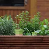 Relaxdays Tonspitzen Bewässerung, 4er Set, Wasserspender Produktbild-Vorschau 5