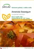 SAFLAX - Americká Sweetgum - Liquidamber styraciflua - 100 Náhled obrázku produktu 1