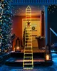 3M/10ft LED Santa žebřík pohádkové světla s dálkovým Náhled obrázku produktu 4