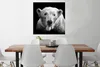 MuchoWow® Poster Eisbär - Tier - Schwarz - Weiß 75x75 cm - Produktbild-Vorschau 2