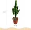 Green boutiQ - Zimmerpflanze - Euphorbia eritrea - Produktbild-Vorschau 3