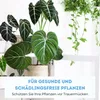 Futeco® – SF-Nematoden (5 Mio.) gegen Trauermücken – für 50 Produktbild-Vorschau 6