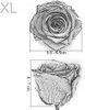 Stabilisierte Rose - Prinzessinnenweiß - XL - 3 Stk Produktbild-Vorschau 6