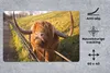 MuchoWow® Schreibtischunterlage Scottish Highlander - Zaun Produktbild-Vorschau 2