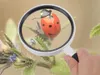 Lupe 3-fach Vergrößerung 95 mm Glaslinse Handlupe Leselupe Produktbild-Vorschau 6