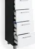 A close-up view of a tall, narrow cabinet with black sides and white drawers. Produktbild-Vorschau