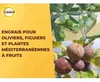 SOLABIOL Dünger für Olivenbäume, Feigenbäume & mediterrane Produktbild-Vorschau 3