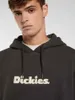 Dickies Slayden Gd Hoodie L Muž L Náhľad obrázku produktu 6