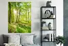 MuchoWow® Poster Natur - Bäume - Wald - Grün - Sonnenlicht Produktbild-Vorschau 4